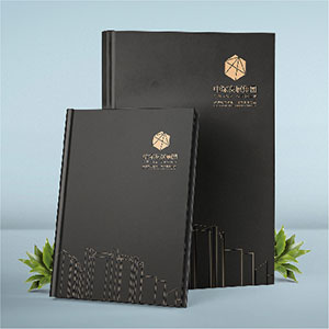 中深發(fā)展集團(tuán)